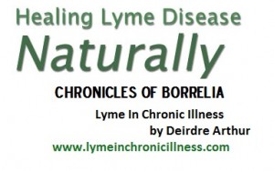 natural chronic lyme-disease treatment options